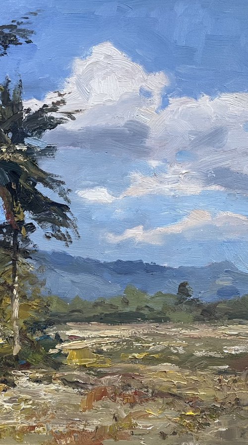 Summer Sunlight by Sarawut Donrasri