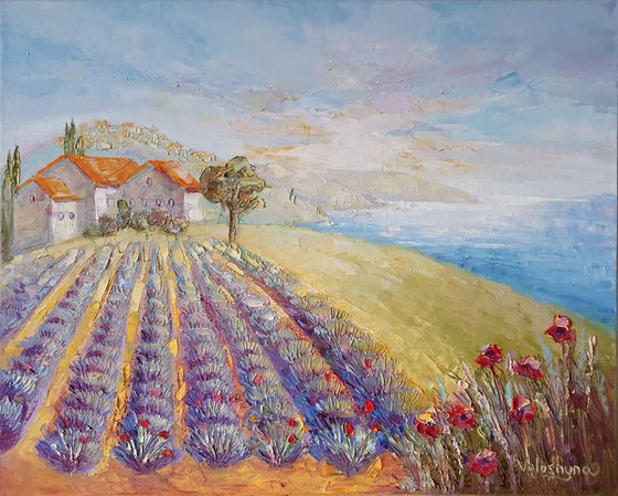 Lavender field near the sea
