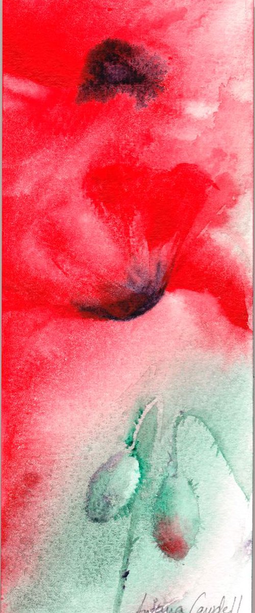 Poppies by Anjana Cawdell