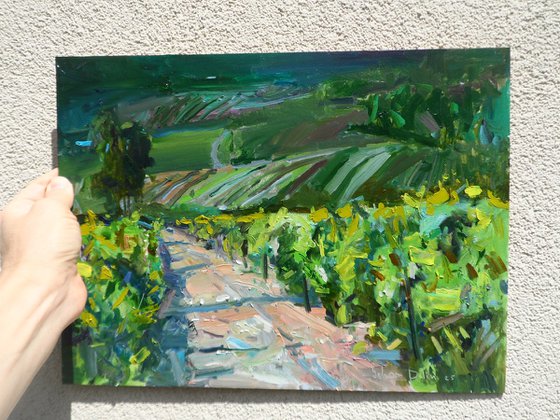"  Vineyards "