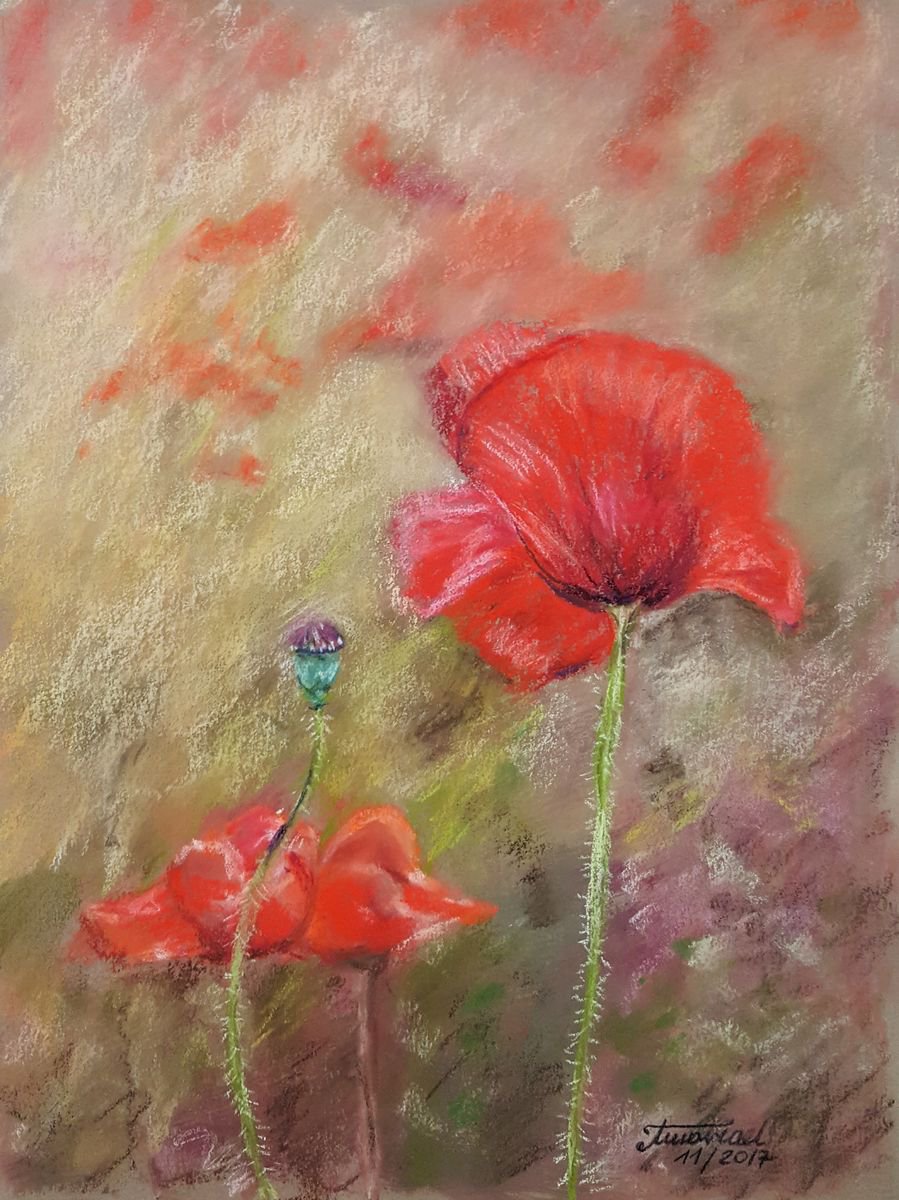 Poppies - ORIGINAL SOFT PASTEL PAINTING | Artfinder