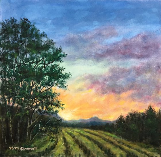 EAST FIELD SUNRISE - oil 12X12 (SOLD)