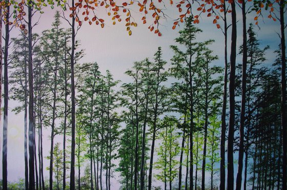 Startling Afternoon shadows.