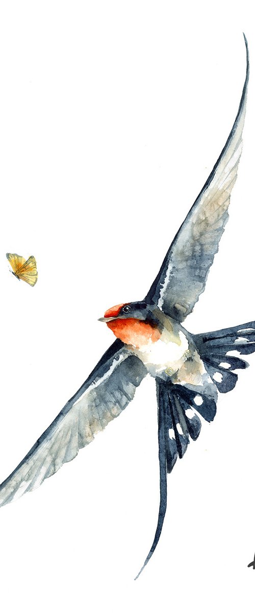 Flying Barn swallow I by Karolina Kijak