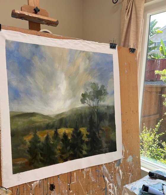 Forest at Sunrise