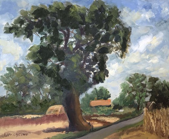 A lane in Norfolk