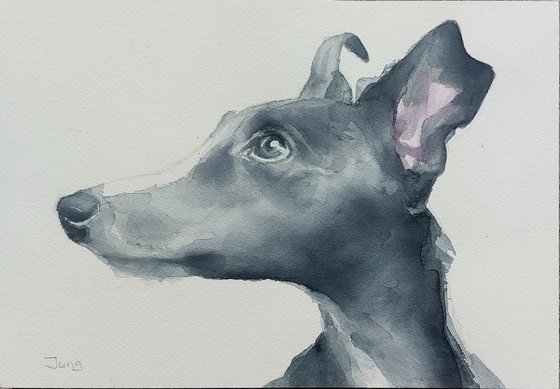 Fetch - dog portrait