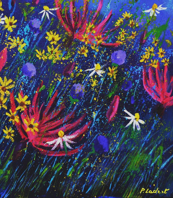 Summer Wild pink flowers flowers -7725