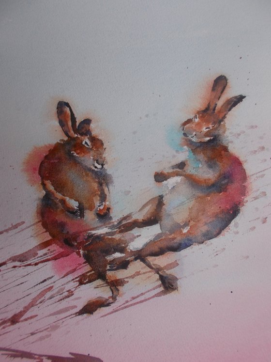 jumping hares