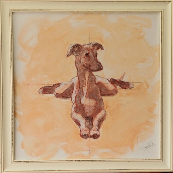 Frog Legs (Whippet)!