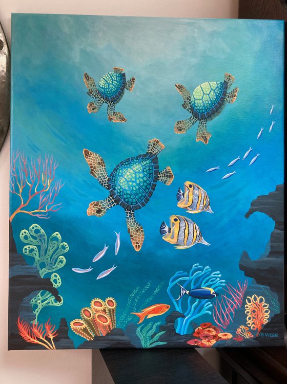 Ocean Turtles