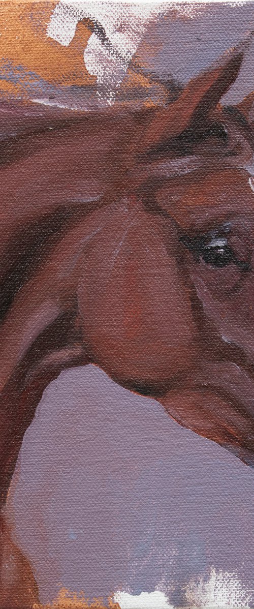 Equine Head Arab Chestnut (study 22) by Zil Hoque