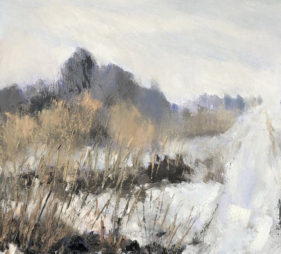 Snow and Grasses