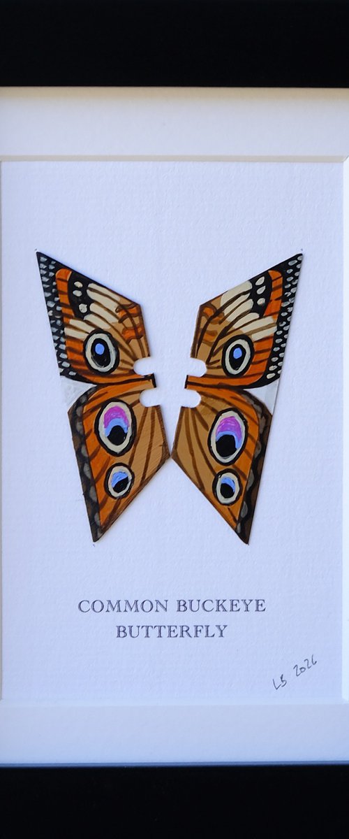 Common Buckeye butterfly by Lene Bladbjerg