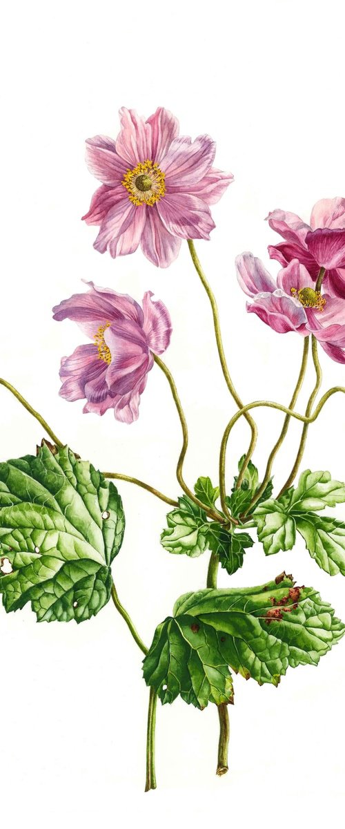 Wind Flowers by Zoe Elizabeth Norman