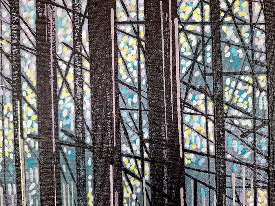 Light Through Winter Trees