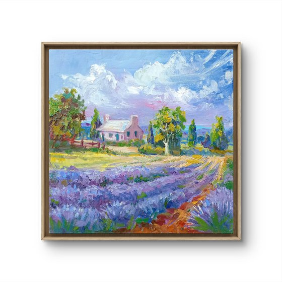 French Lavender Fields