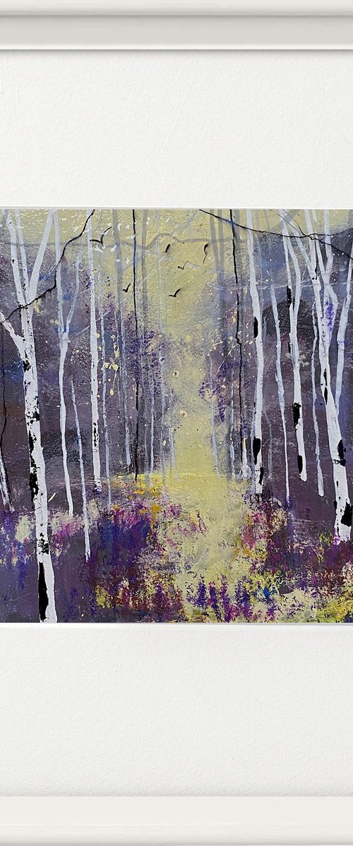 Seasons - Violet Autumn, Silver Birch trees framed by Teresa Tanner