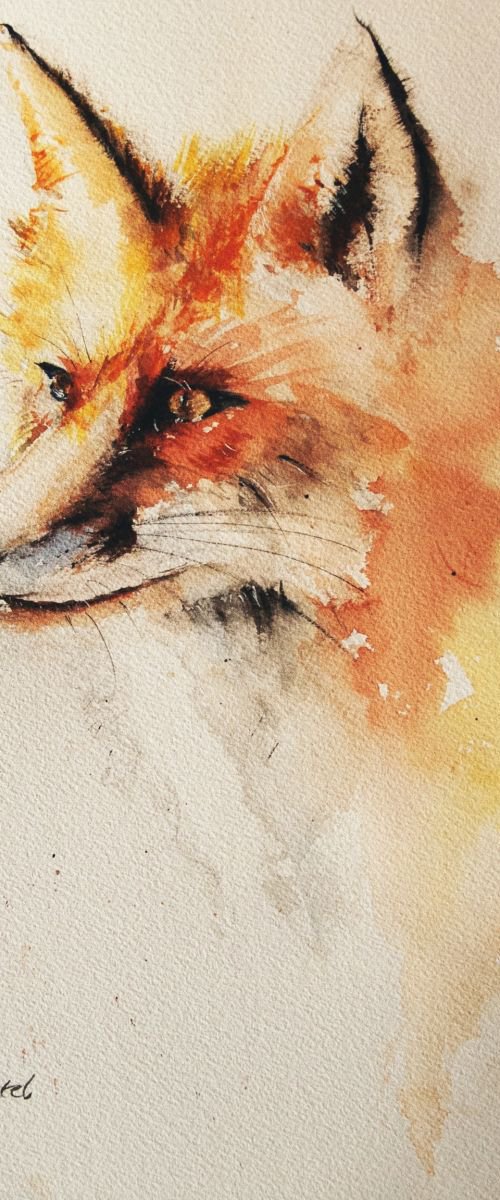 Fox by Tomasz Mikutel