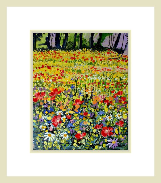 Wildflower Meadow