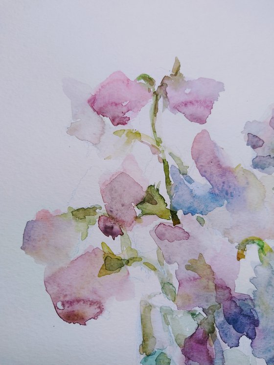 Sweet pea.  Original watercolour painting 2021