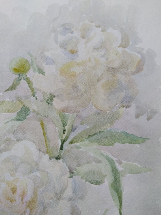 Peonies. Watercolour 2020