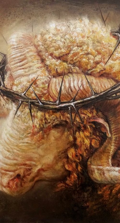 Golden fleece by Alexandre Barbera-Ivanoff
