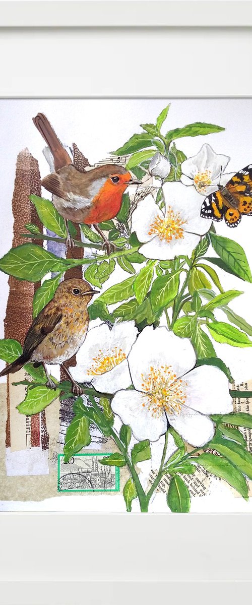 The Robin apprentice -  Framed ready to hang original artwork by Carolynne Coulson