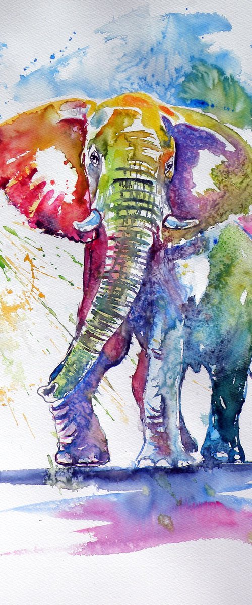 Colorful elephant II by Kovács Anna Brigitta