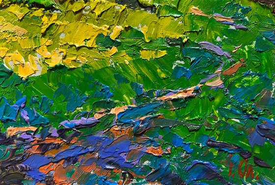 Yellow fields near the village