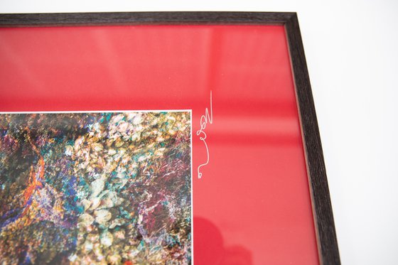 Wall of Nature XXIX (Framed)