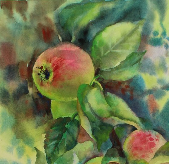 Autumn Apples. Original.