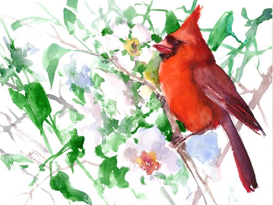 Red Cardinal and Spring Blossom