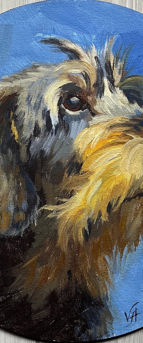 Wire-haired dachshund by Alona Vakhmistrova