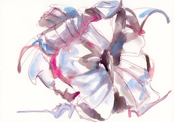 The White Show II