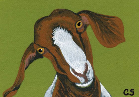 ACEO ATC Original Miniature Painting Boer Goat Pet Farmyard Art-Carla Smale