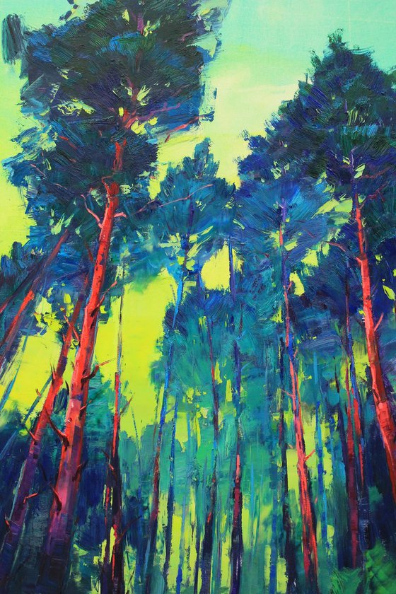Pine Forest