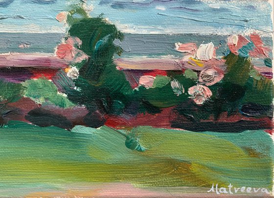 Roses