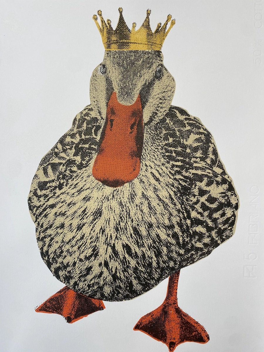 Urban And Pop Animal Screenprint By Charlotte Gerrard, 14 X 20, Lord Love A Duck, Original Artwork