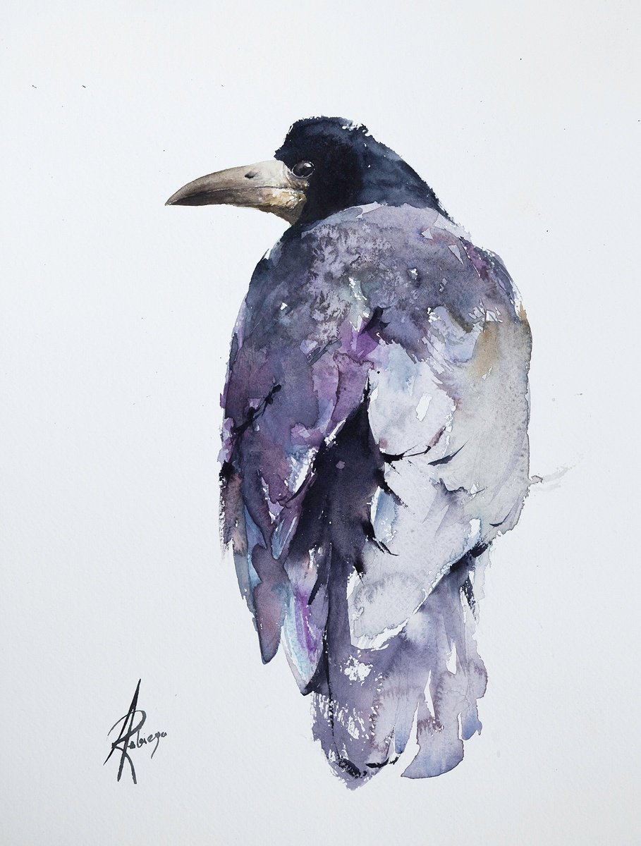 Animal Watercolour By Andrzej Rabiega, 12 X 16, Rook 2, Original Artwork