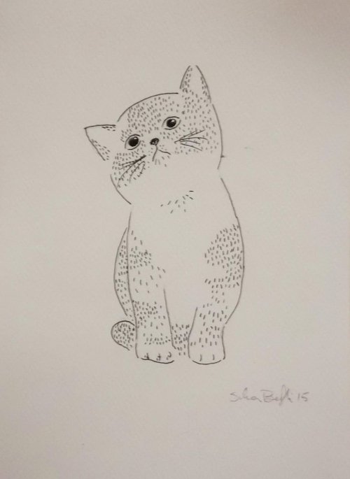 cat portrait by Silvia Beneforti