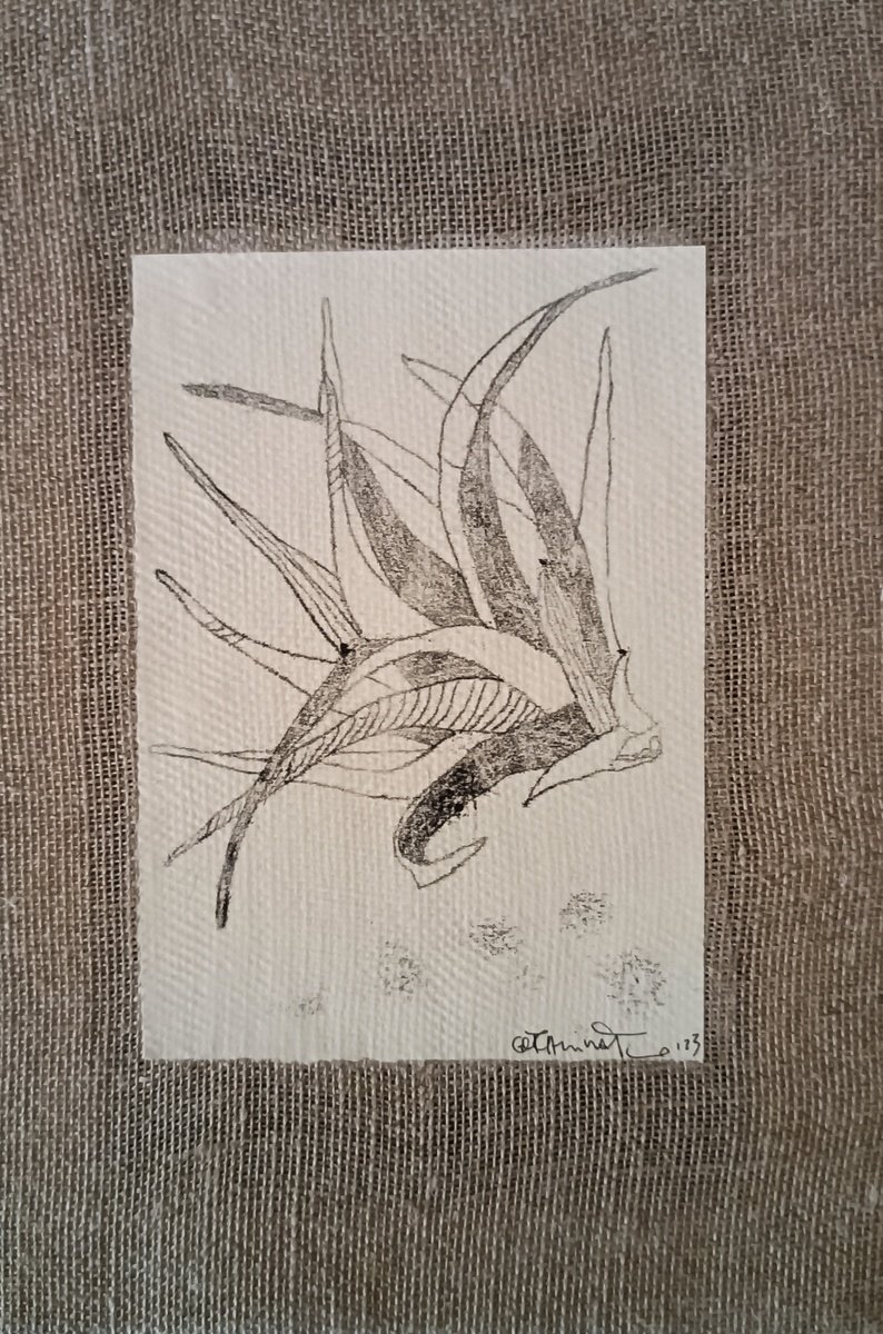 Organic Botanical Limited Edition Print By Isabellangela Germinario, 6 X 9, Pianta Aerea 3.0, Original Artwork