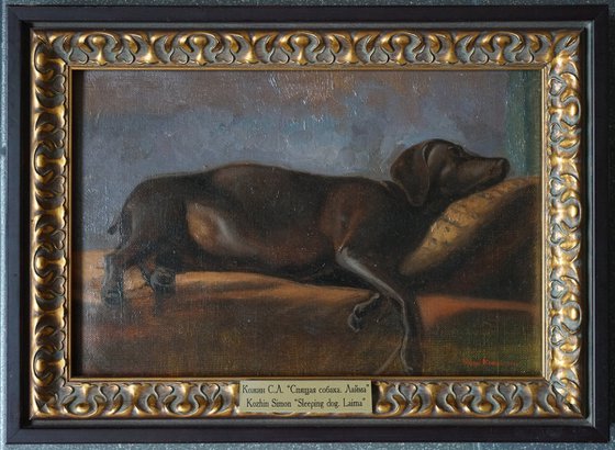 Sleeping dog. Laima