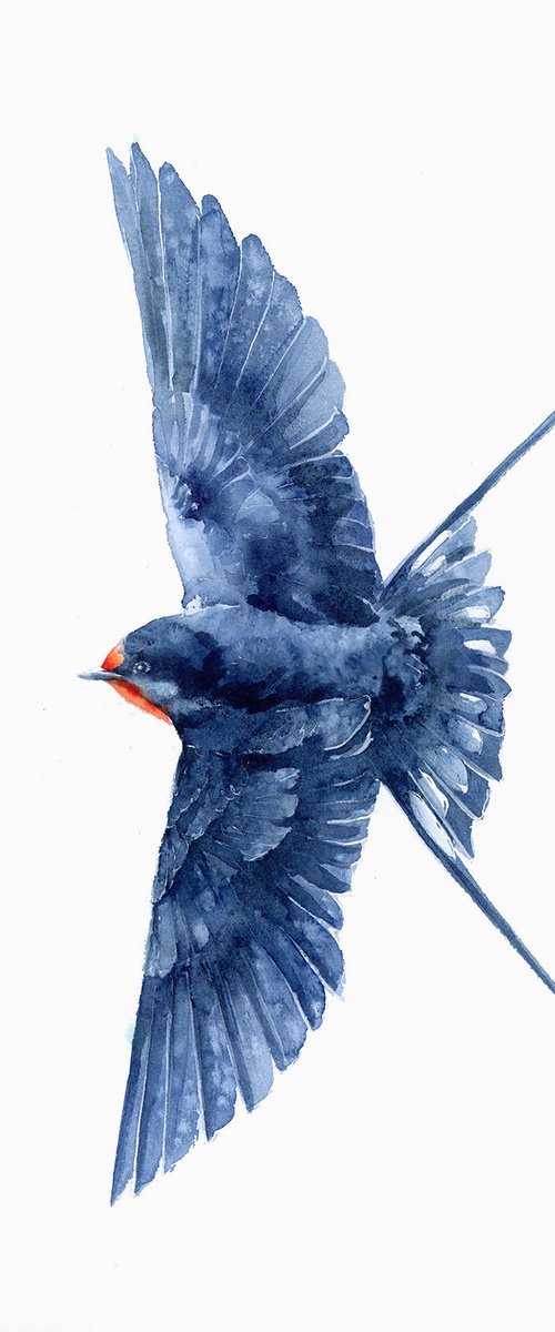 Flying swallow, wildlife, birds watercolours by Karolina Kijak