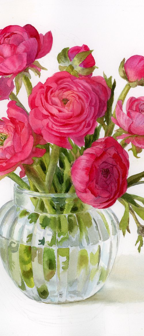 Pink ranunculus by Yulia Krasnov