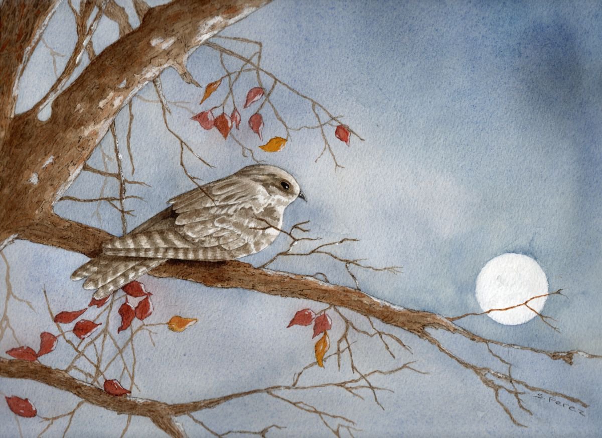 Nightwatch by Susan Perez