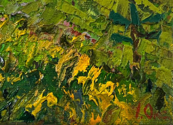 Walk through the meadows