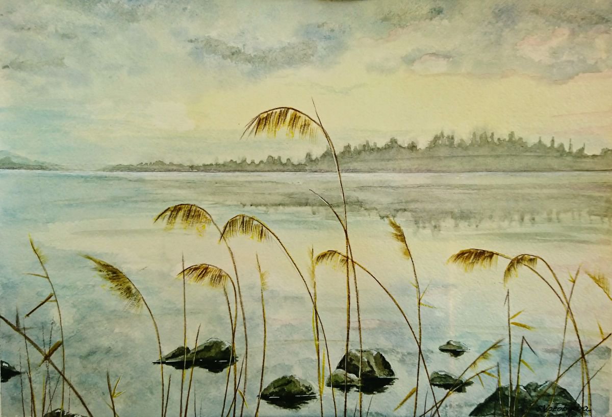 Lake Saimaa. Watercolor painting. by Svetlana Vorobyeva