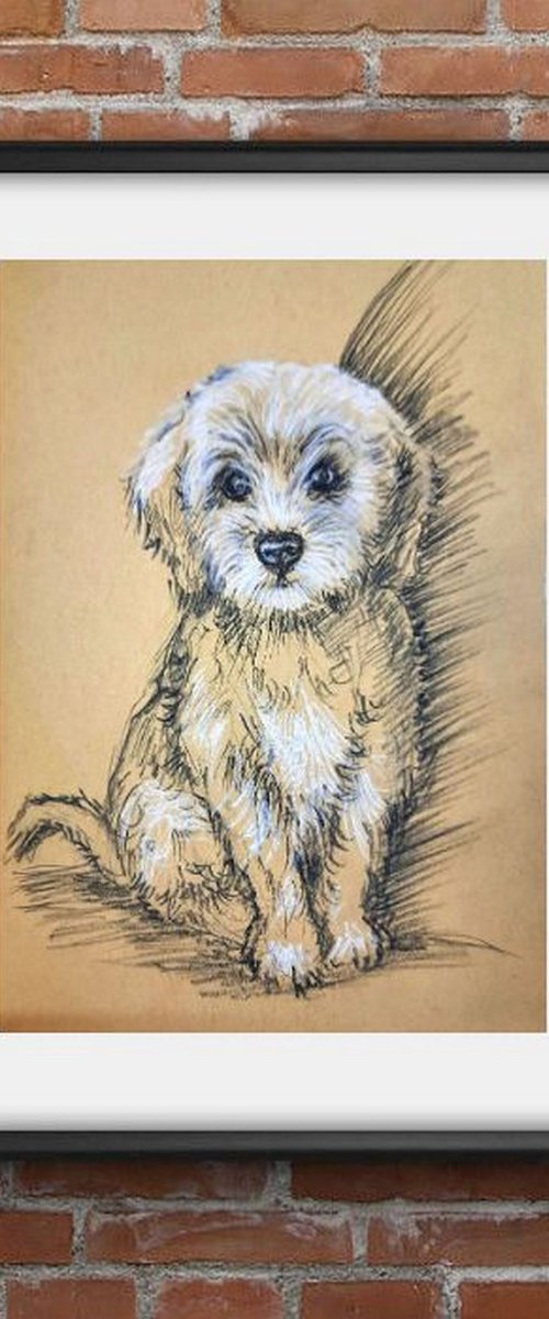 Cute puppy sketch by Asha Shenoy