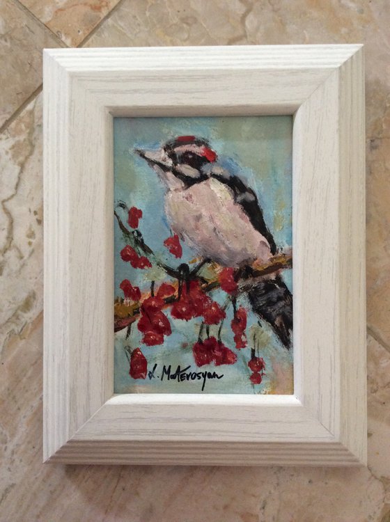 Downy woodpecker